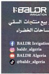 BALDAR