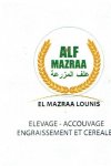 ALF MAZRAA