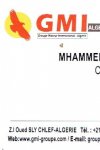GMI 