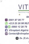 VITRO PLANT ALGERIE