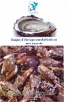 Le Centre National de Recherche et de Développement de la Pêche et de l'aquaculture.