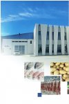 FROIDIS