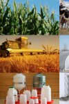 Équipement agricole à Tébessa, matériel agricole