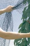MAGESTIC NET