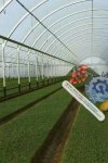 EURL IZAK AGRO