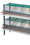 CAGES POUR CAILLES 