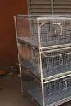 BATTERIE ET CAGES POUR LAPINS MEDJANA 