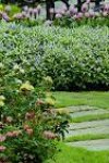 AS AMENAGEMENT DES ESPACES VERTS