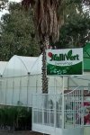 PÉPINIÈRE HALLI VERT