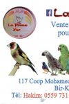 La Plume D'Or