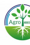 AGRO ABDESSEMED