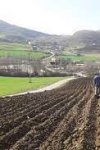 EXPLOITATION AGRICOLE ABDELHAFID