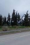Vend un terrain agricole sup 4 hectares à Bechloul Bouira Référence : 181