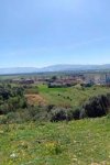 Vente terrain agricole sup 11500m² à Tipaza Sidi Rached Référence : 166