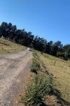Vente ferme sup 8300m² à Tipaza Sidi Rached Référence : 171