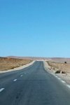 Vente terrain agricole sup 110 hectares à Djelfa Aïn Oussara Bichia Référence : 184