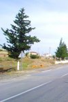 Vente terrain agricole sup 38 hectares à Aïn Defla Tarik Ibn Ziad Référence : 168