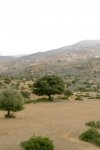 Vente terrain agricole plat sup 10 hectares à Aïn Defla Tarik Ibn Ziad Référence : 169