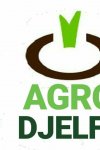 AGRO DJELFA