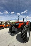 TAFE TRACTORS ALGERIA TIRSAM