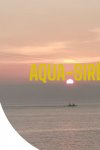AQUA-SIRENE