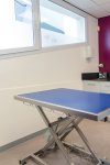 BUREAU D'EXPERTISE VETERINAIRE SOUGUEUR