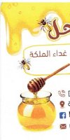 مملكة النحل