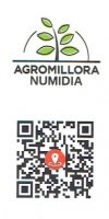 AGROMILLORA Numidia