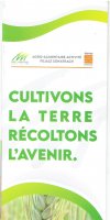 Agro Alimentaires activitès 