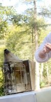 APICULTURE DERRICHE DJAMILA