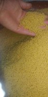 FABRICATION DE PÄTES ALIMENTAIRES