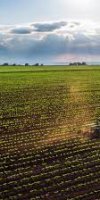 EXPLOITATION AGRICOLE