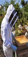 APICULTURE MILOUDI RABAH