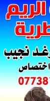 عيادة الريم البيطرية