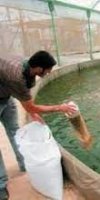 aquaculture RABAH BOUDJAMAA
