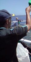 aquaculture	BEKRAOUI ZOHRA