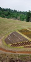 mise en valeur de terre agricole SAIDI ABDELJABAR
