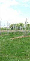 mise en valeur de terre agricole ROUMMANI AHMED