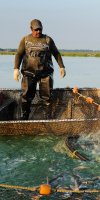aquaculture BAKHADDA ABDELHEQ