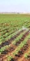 mise en valeur de terre agricole BELGUENDOUZ ACHRAF
