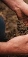 mise en valeur de terre agricole MHAMDI MOHAMMED