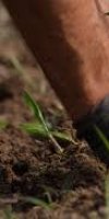 mise en valeur de terre agricole SBAI ABDELKRIM