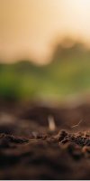 mise en valeur de terre agricole AHSINI YOUSSOUF