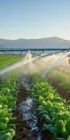 mise en valeur de terre agricole BEN DAHIR ABDERRAHMMANE