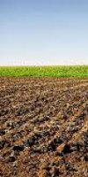 mise en valeur de terre agricole YOUSFATE RACHID