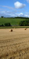 mise en valeur de terre agricole BELBALI ABDELKADER