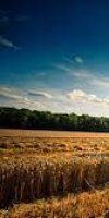 mise en valeur de terre agricole BABELLAH MOULATI