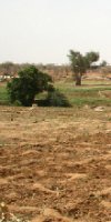 mise en valeur de terre agricole ELBAHRI MERIEM