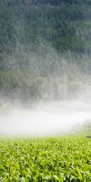 mise en valeur de terre agricole LENSARI KHADIDJA