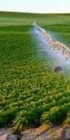mise en valeur de terre agricole 	BAALLALI FATMA